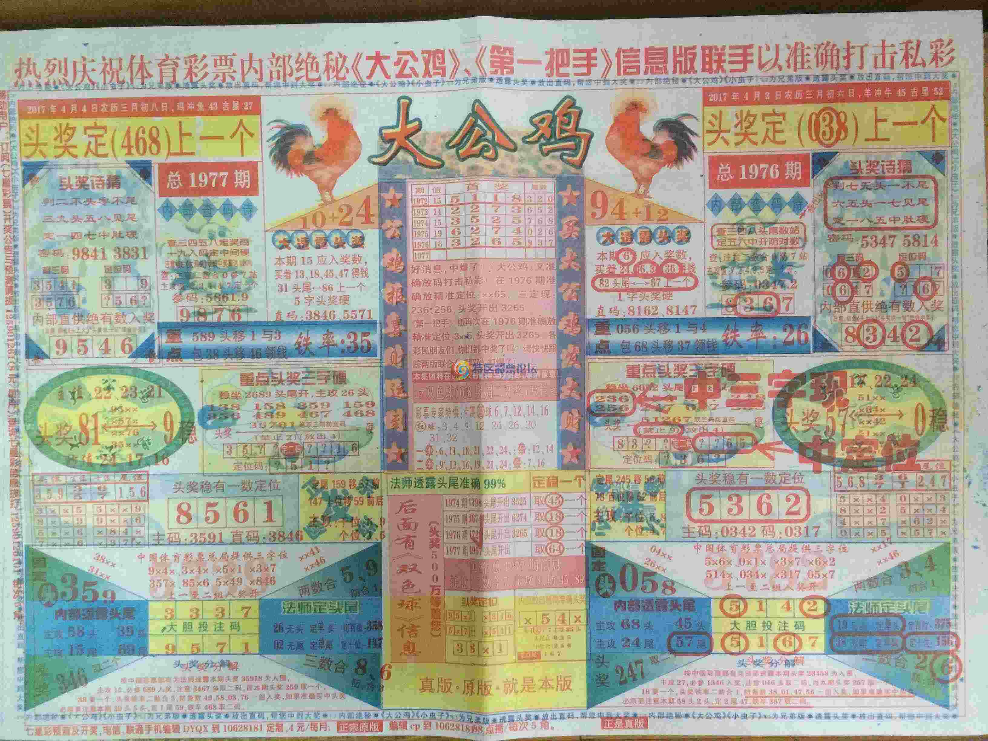 1977期精选彩板:大公鸡、大精英、合茂兴、冠