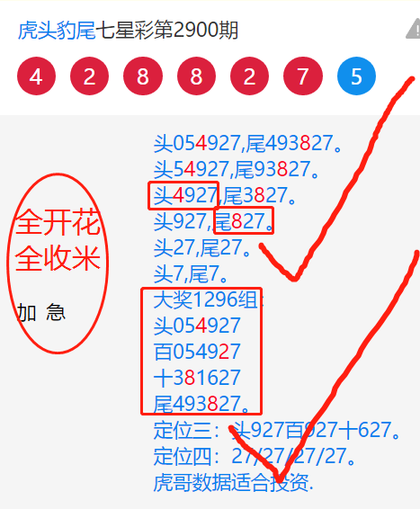 2900.png