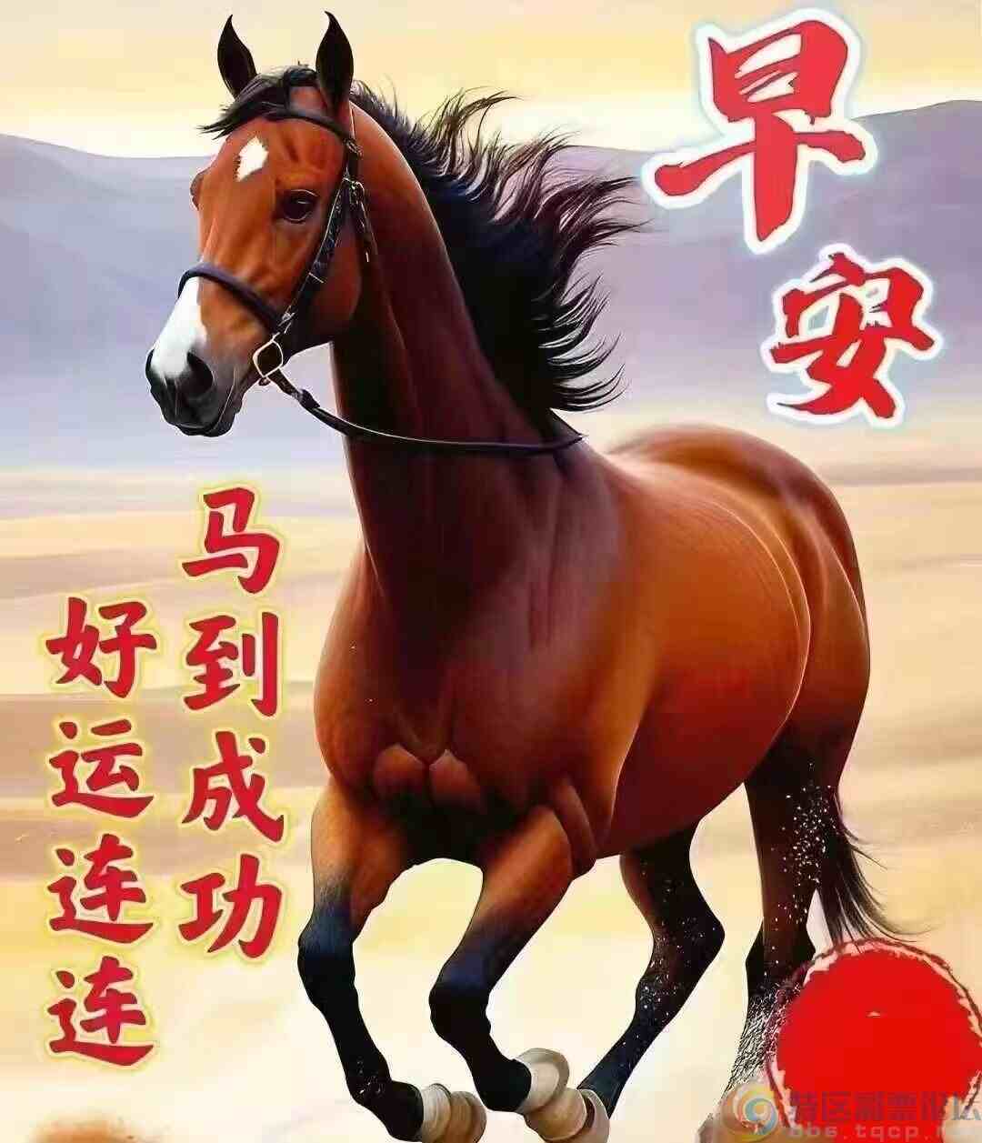 214509d8ldpzku5ppz8ajw.jpg