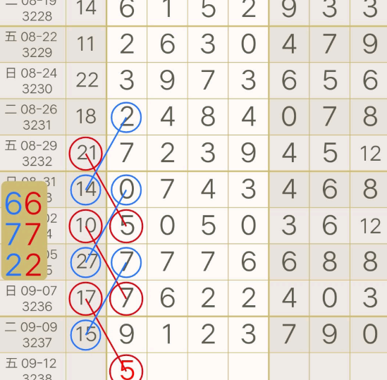 5 (4).png