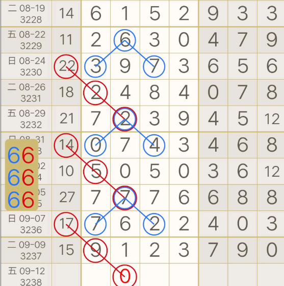 5 (6).png