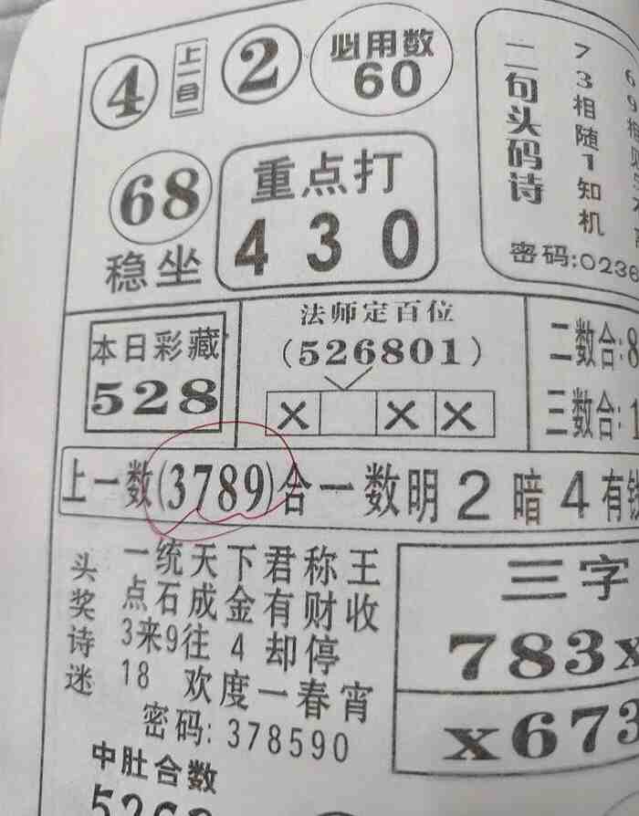 0749aeb3dbea06b0c25e7c71fc49e761 - .jpg