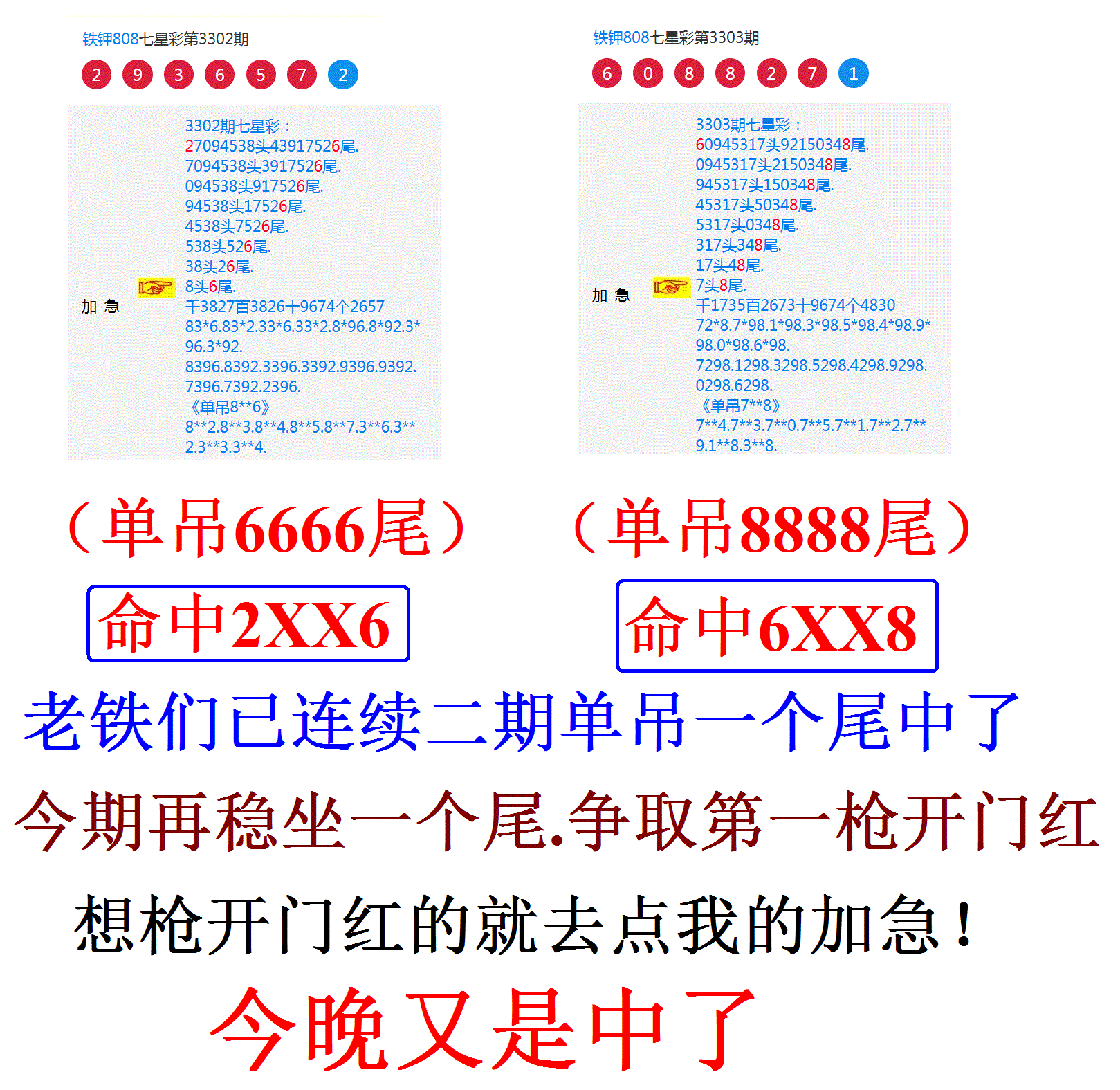 808�հ׳�������Ʒ 2��.GIF