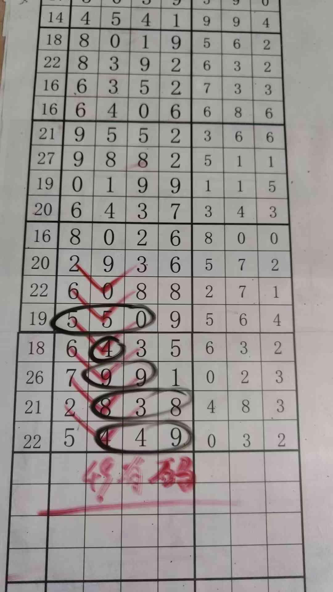 49����.jpg