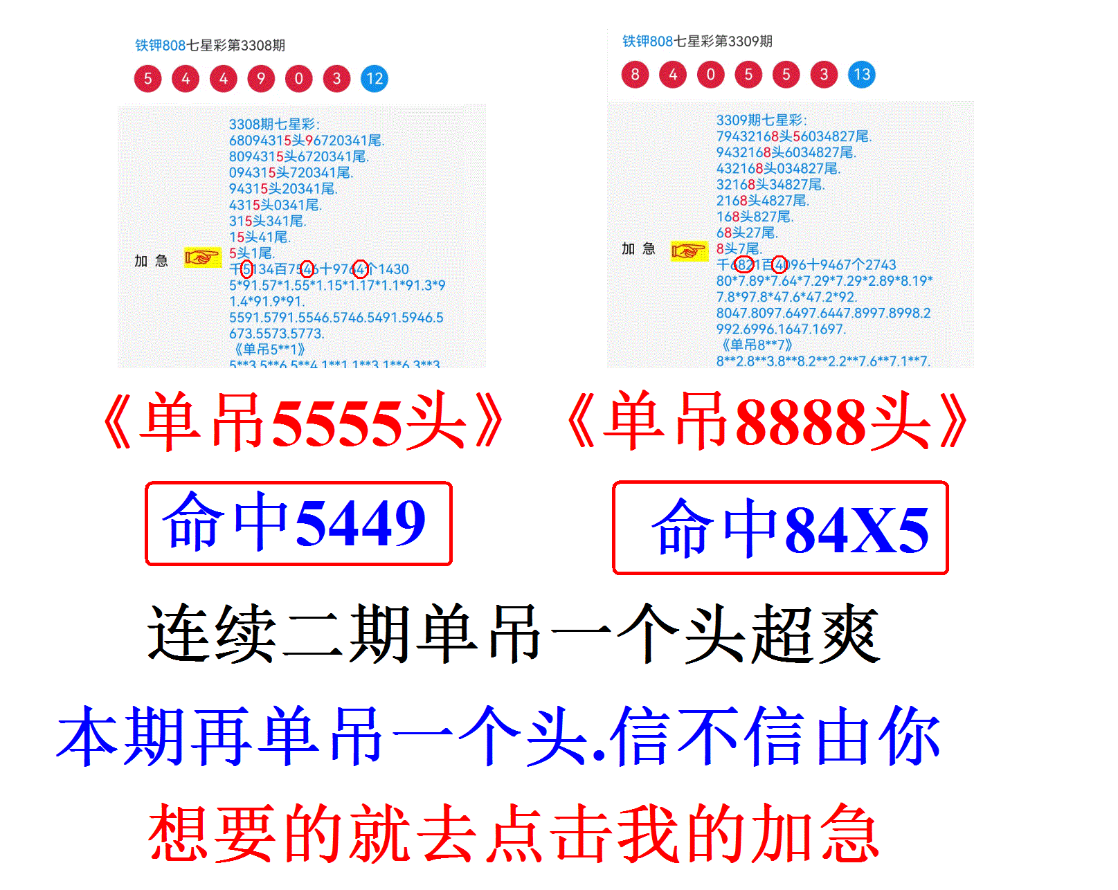 808�հ׳�������Ʒ 2��.GIF