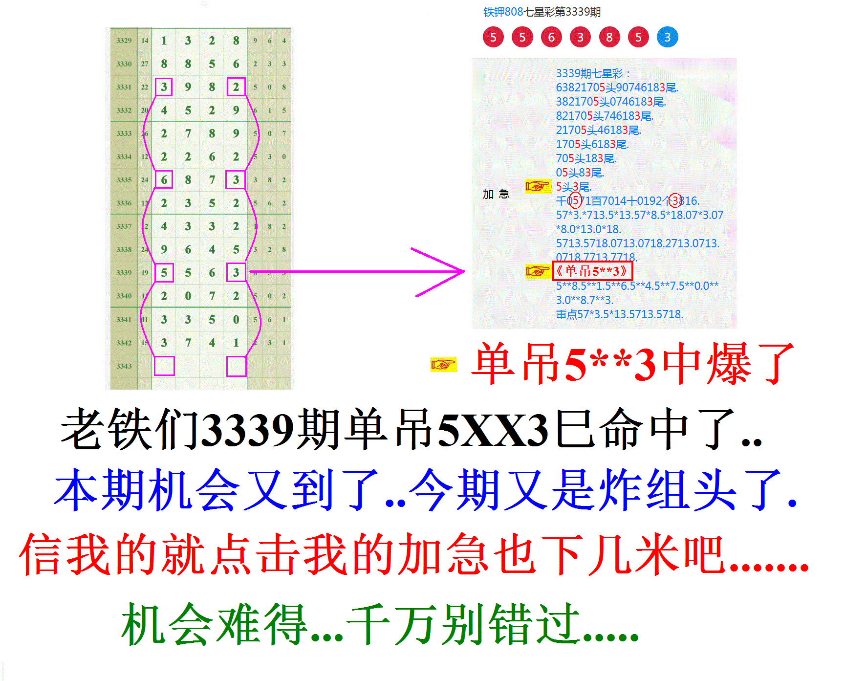 808�հ׳�������Ʒ 2��.GIF