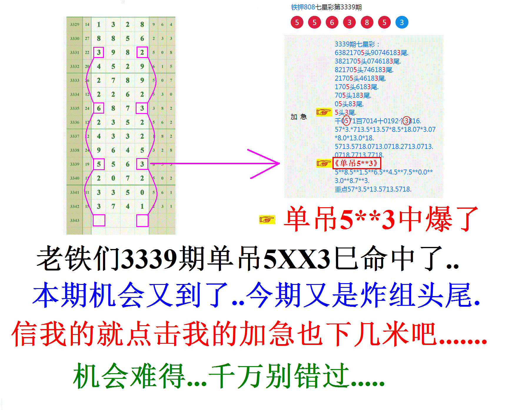808�հ׳�������Ʒ 2��.GIF