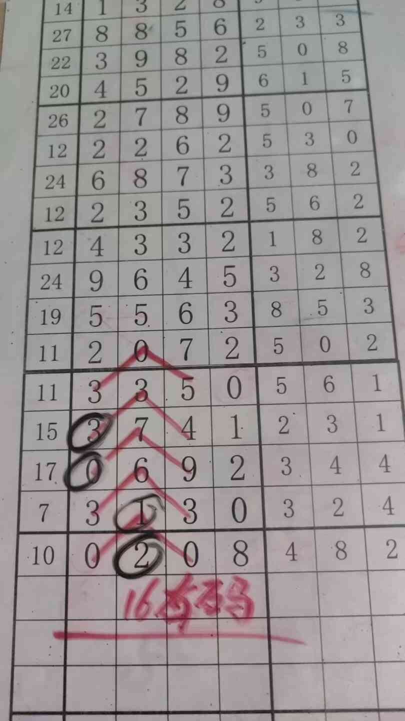 16you ma (2).jpg