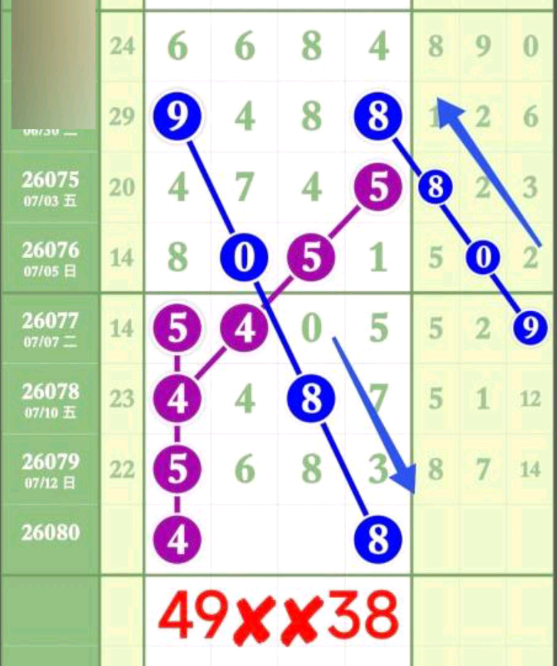 5 (6).png